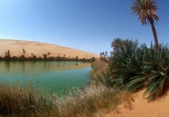 Ost-Sahara, Libyen: Große Expedition - Eine Palmenbestandene Oase
